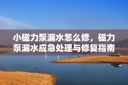 小磁力泵漏水怎么修，磁力泵漏水应急处理与修复指南