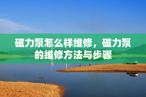 磁力泵怎么样维修，磁力泵的维修方法与步骤