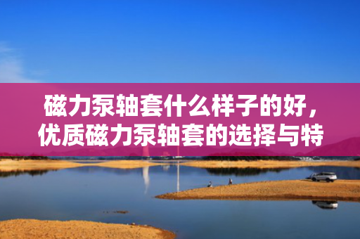 磁力泵轴套什么样子的好，优质磁力泵轴套的选择与特点解析