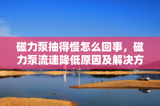 磁力泵抽得慢怎么回事，磁力泵流速降低原因及解决方案