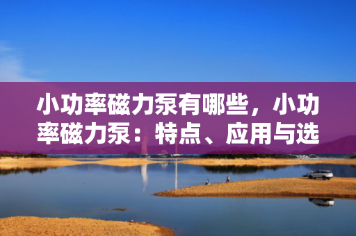 小功率磁力泵有哪些，小功率磁力泵：特点、应用与选型指南