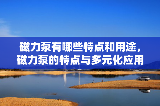 磁力泵有哪些特点和用途，磁力泵的特点与多元化应用
