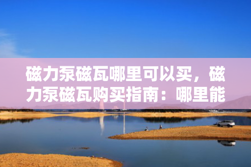 磁力泵磁瓦哪里可以买，磁力泵磁瓦购买指南：哪里能找到高品质的产品？