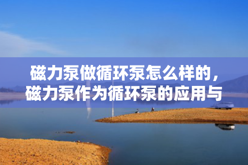 磁力泵做循环泵怎么样的，磁力泵作为循环泵的应用与性能评估