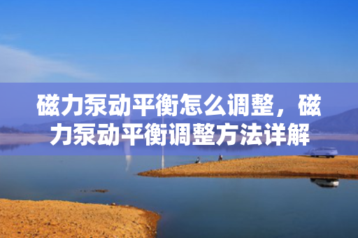 磁力泵动平衡怎么调整，磁力泵动平衡调整方法详解