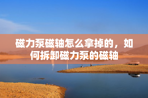 磁力泵磁轴怎么拿掉的，如何拆卸磁力泵的磁轴