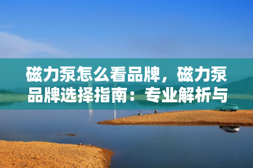 磁力泵怎么看品牌，磁力泵品牌选择指南：专业解析与推荐