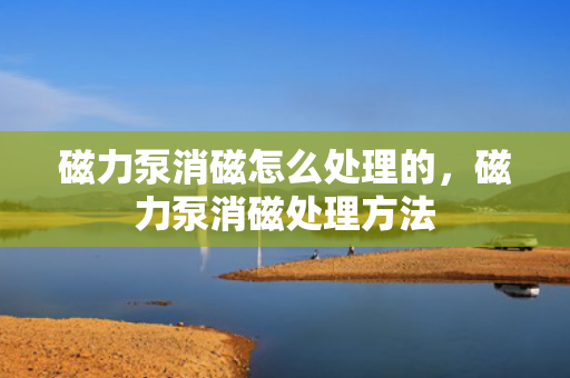 磁力泵消磁怎么处理的，磁力泵消磁处理方法