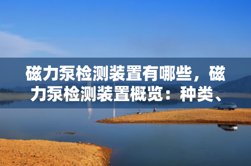 磁力泵检测装置有哪些，磁力泵检测装置概览：种类、功能及应用解析