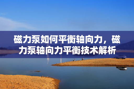 磁力泵如何平衡轴向力，磁力泵轴向力平衡技术解析