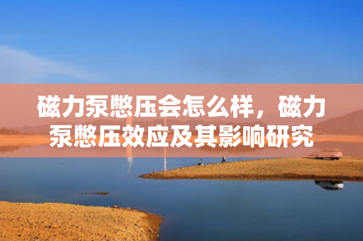 磁力泵憋压会怎么样，磁力泵憋压效应及其影响研究