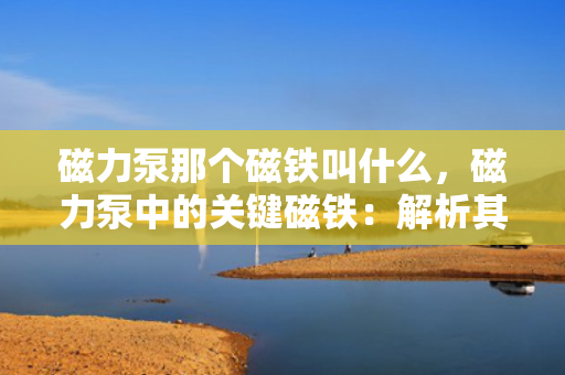 磁力泵那个磁铁叫什么，磁力泵中的关键磁铁：解析其名称与作用