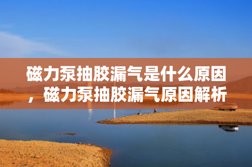 磁力泵抽胶漏气是什么原因，磁力泵抽胶漏气原因解析