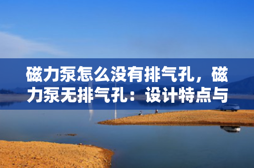 磁力泵怎么没有排气孔，磁力泵无排气孔：设计特点与工作原理解析