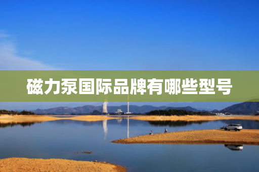磁力泵国际品牌有哪些型号