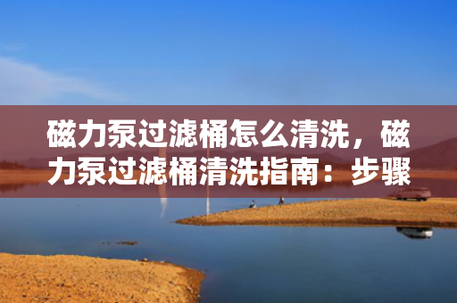 磁力泵过滤桶怎么清洗，磁力泵过滤桶清洗指南：步骤详解与注意事项