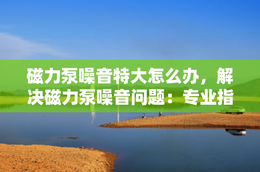 磁力泵噪音特大怎么办，解决磁力泵噪音问题：专业指导与实用技巧