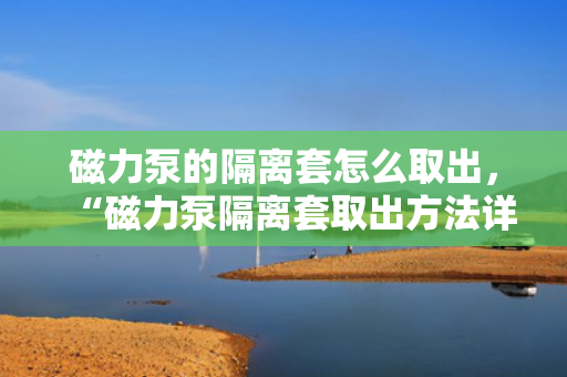 磁力泵的隔离套怎么取出，“磁力泵隔离套取出方法详解”
