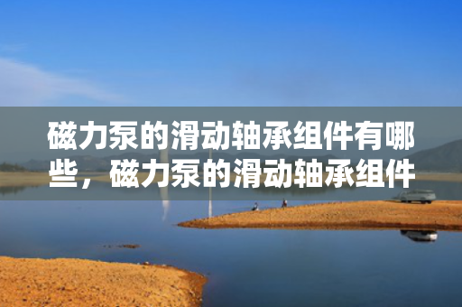 磁力泵的滑动轴承组件有哪些，磁力泵的滑动轴承组件介绍