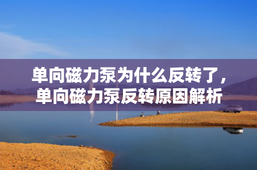 单向磁力泵为什么反转了，单向磁力泵反转原因解析