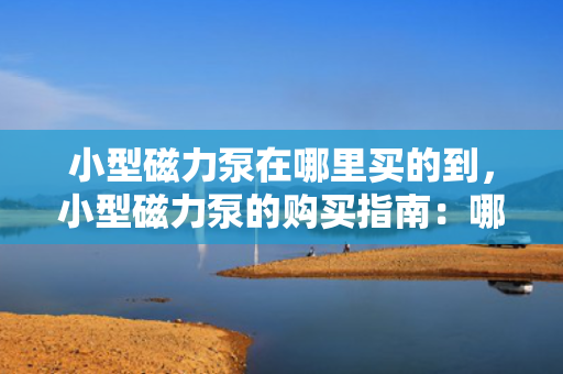小型磁力泵在哪里买的到，小型磁力泵的购买指南：哪里能找到理想的购买地点