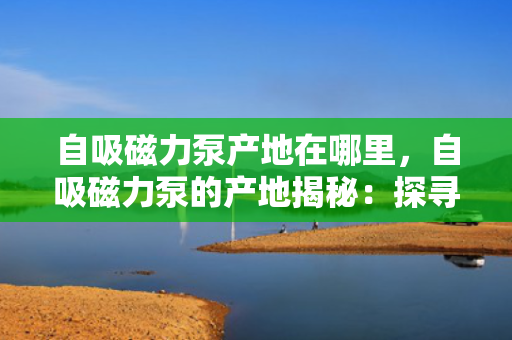 自吸磁力泵产地在哪里，自吸磁力泵的产地揭秘：探寻优质泵的生产之源