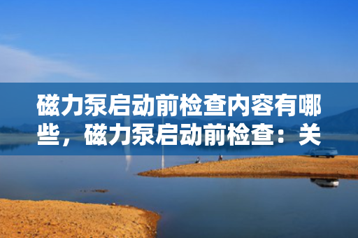 磁力泵启动前检查内容有哪些，磁力泵启动前检查：关键步骤与要点解析