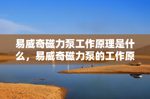 易威奇磁力泵工作原理是什么，易威奇磁力泵的工作原理简述