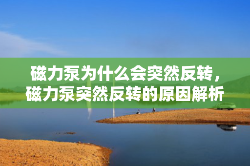 磁力泵为什么会突然反转，磁力泵突然反转的原因解析