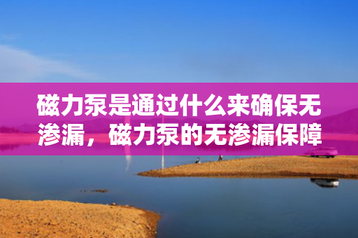 磁力泵是通过什么来确保无渗漏，磁力泵的无渗漏保障：关键技术与工作原理探析
