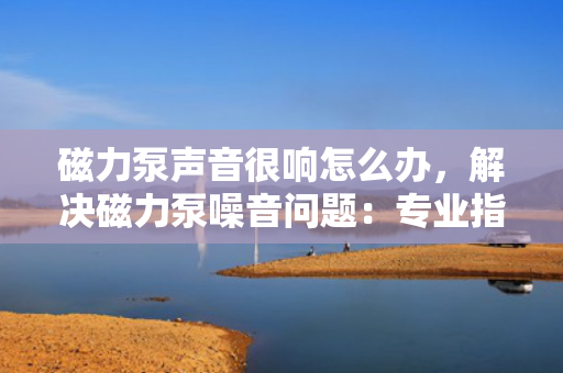 磁力泵声音很响怎么办，解决磁力泵噪音问题：专业指导帮助您快速定位并降低响声