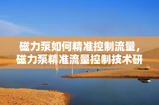 磁力泵如何精准控制流量，磁力泵精准流量控制技术研究与应用