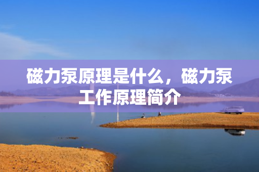 磁力泵原理是什么，磁力泵工作原理简介