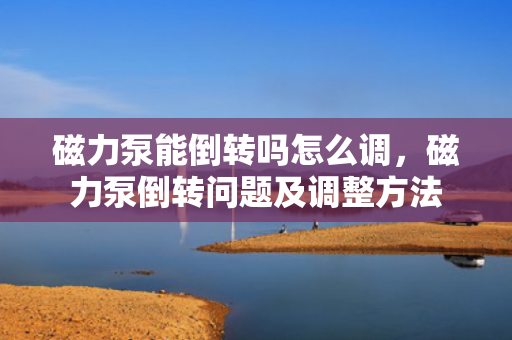 磁力泵能倒转吗怎么调，磁力泵倒转问题及调整方法