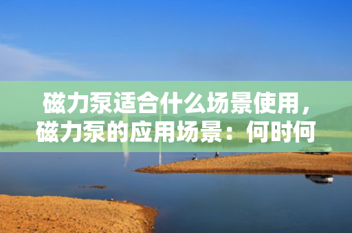 磁力泵适合什么场景使用，磁力泵的应用场景：何时何地首选磁力泵？