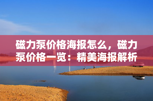 磁力泵价格海报怎么，磁力泵价格一览：精美海报解析购买指南