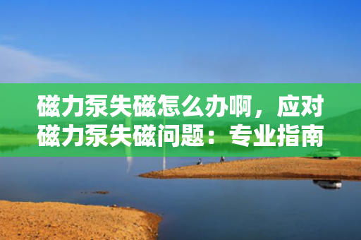 磁力泵失磁怎么办啊，应对磁力泵失磁问题：专业指南与解决方案