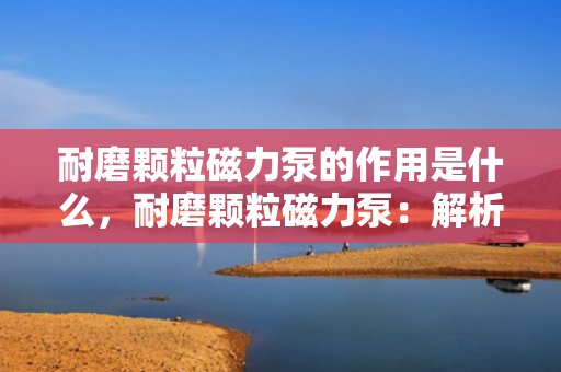 耐磨颗粒磁力泵的作用是什么，耐磨颗粒磁力泵：解析其作用与重要性