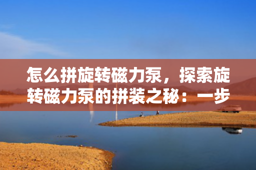 怎么拼旋转磁力泵，探索旋转磁力泵的拼装之秘：一步步打造高效流体传输利器