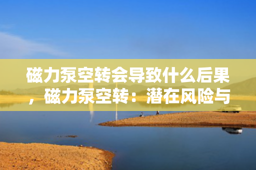 磁力泵空转会导致什么后果，磁力泵空转：潜在风险与后果解析