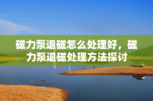 磁力泵退磁怎么处理好，磁力泵退磁处理方法探讨