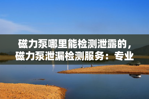 磁力泵哪里能检测泄露的，磁力泵泄漏检测服务：专业机构助您精准定位问题所在