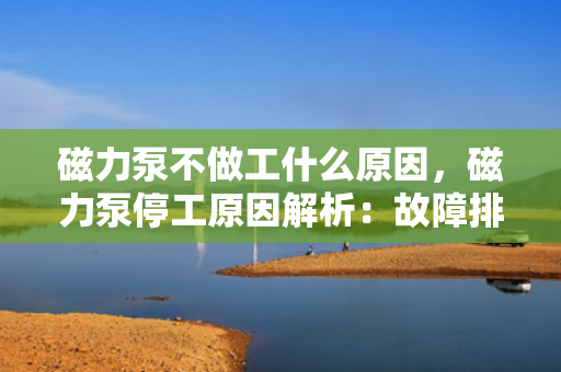 磁力泵不做工什么原因，磁力泵停工原因解析：故障排查与解决方案