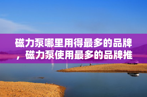 磁力泵哪里用得最多的品牌，磁力泵使用最多的品牌推荐