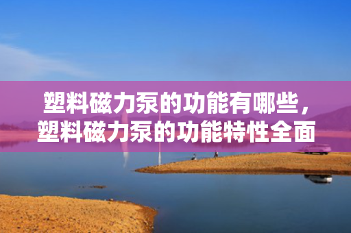 塑料磁力泵的功能有哪些，塑料磁力泵的功能特性全面解析
