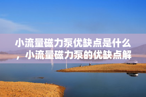 小流量磁力泵优缺点是什么，小流量磁力泵的优缺点解析