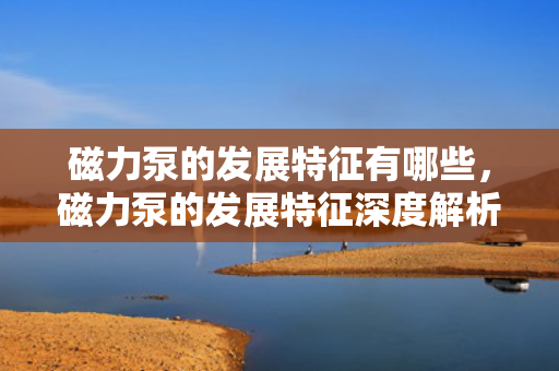 磁力泵的发展特征有哪些，磁力泵的发展特征深度解析：技术创新引领行业变革