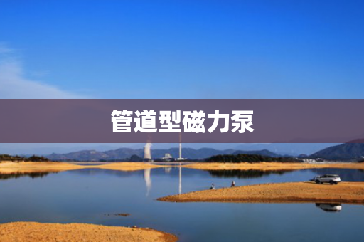 管道型磁力泵