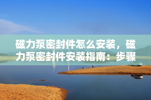 磁力泵密封件怎么安装，磁力泵密封件安装指南：步骤与要点解析