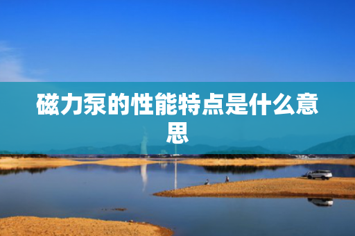磁力泵的性能特点是什么意思